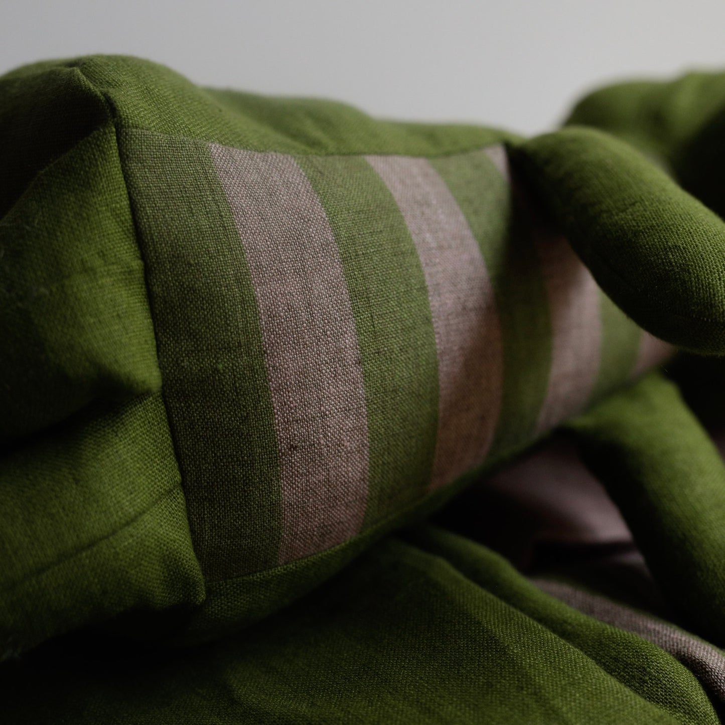 Stripesaurus Dinosaur making fabrics bundle
