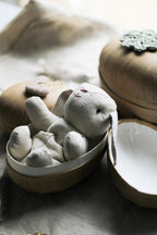 Bunny Rabbit Hare Easter bunny doll soft toy  Stuffed Toy making sewing PDF pattern and tutorial